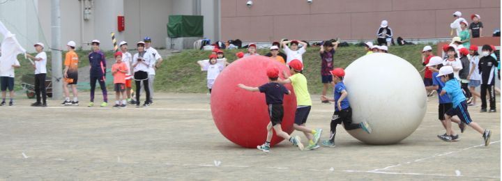 img_7367.jpg
