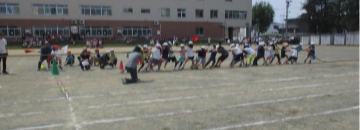 img_2519.jpg